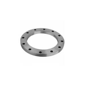 EN 1092-1_WELDING PLATE FLANGES